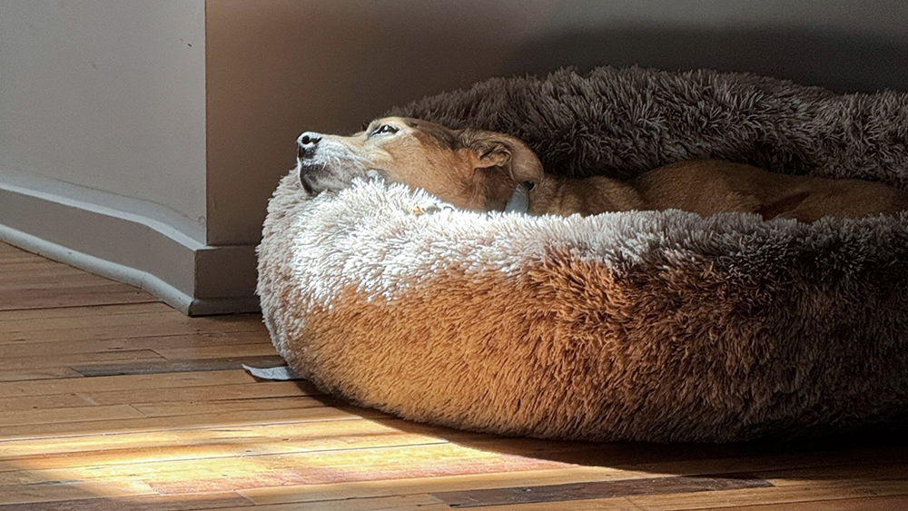 Elsewhere Design & Idea Shop Office Image