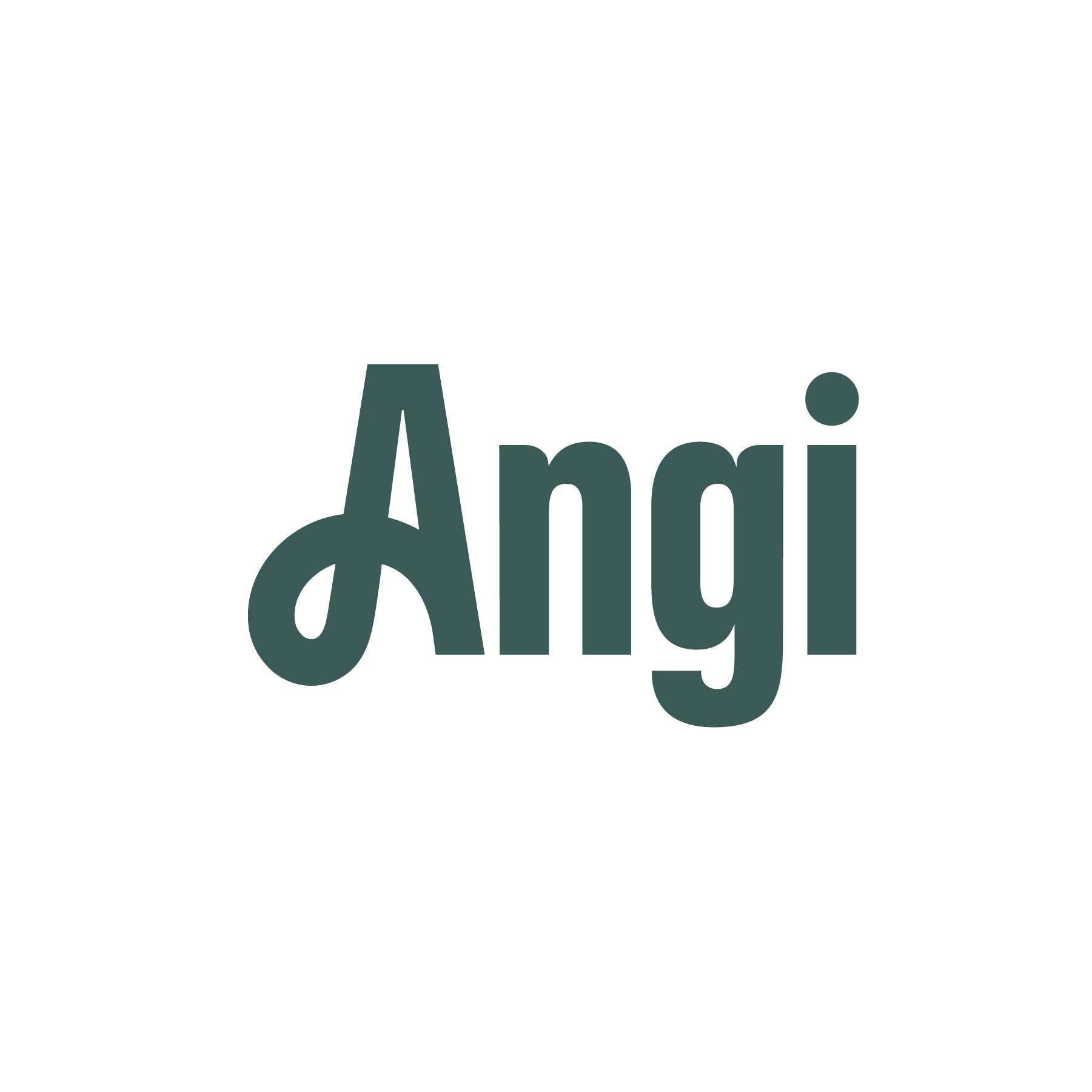 Angi Logo