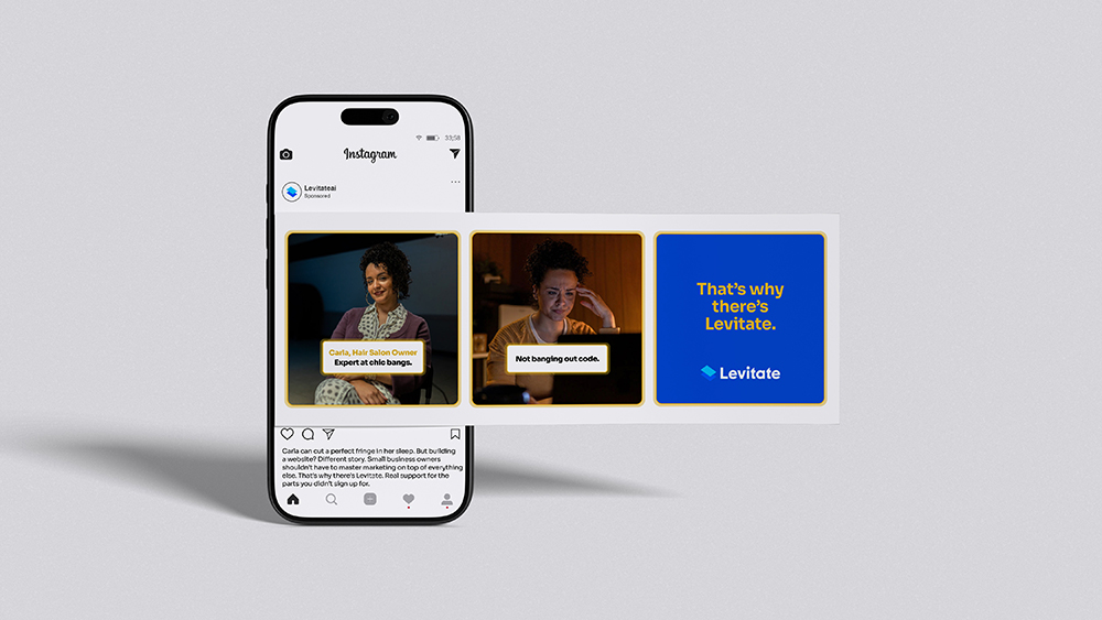 Levitate Case Study