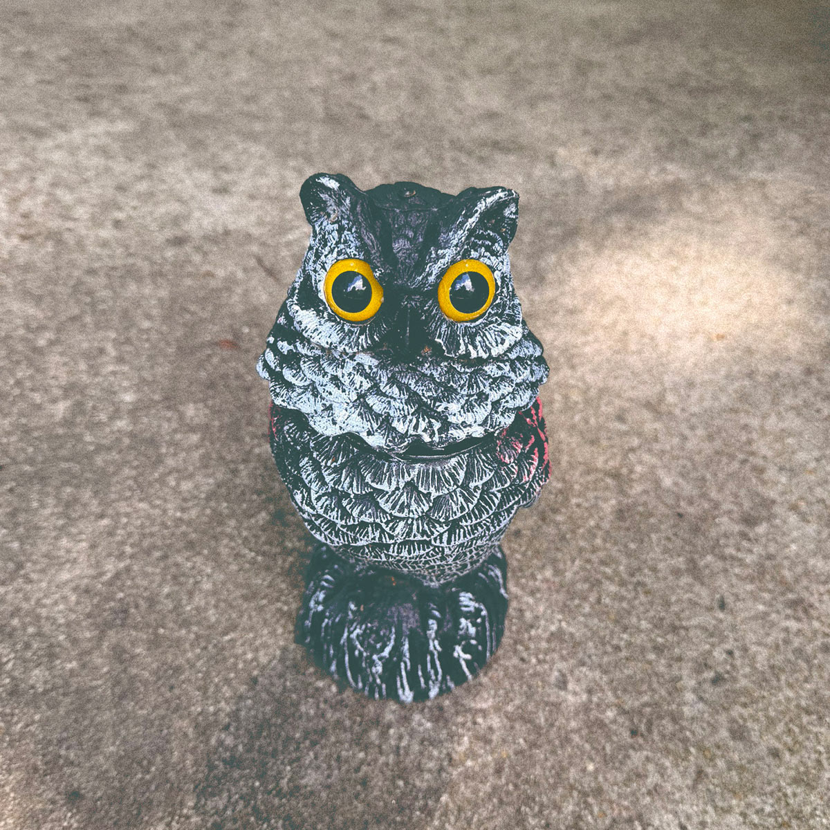Dr. Owl Lookout