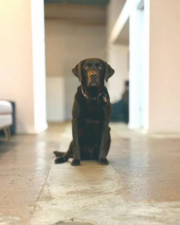 Roxy-Poses